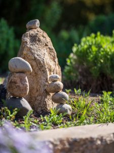 Listen to Dr. Brodie Sakakibara’s recent radio interview!
